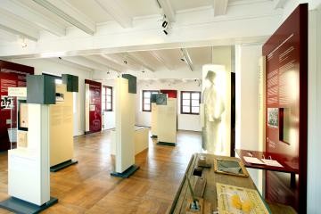 Blick ins Museum