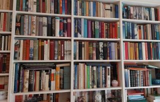 Bücherregal