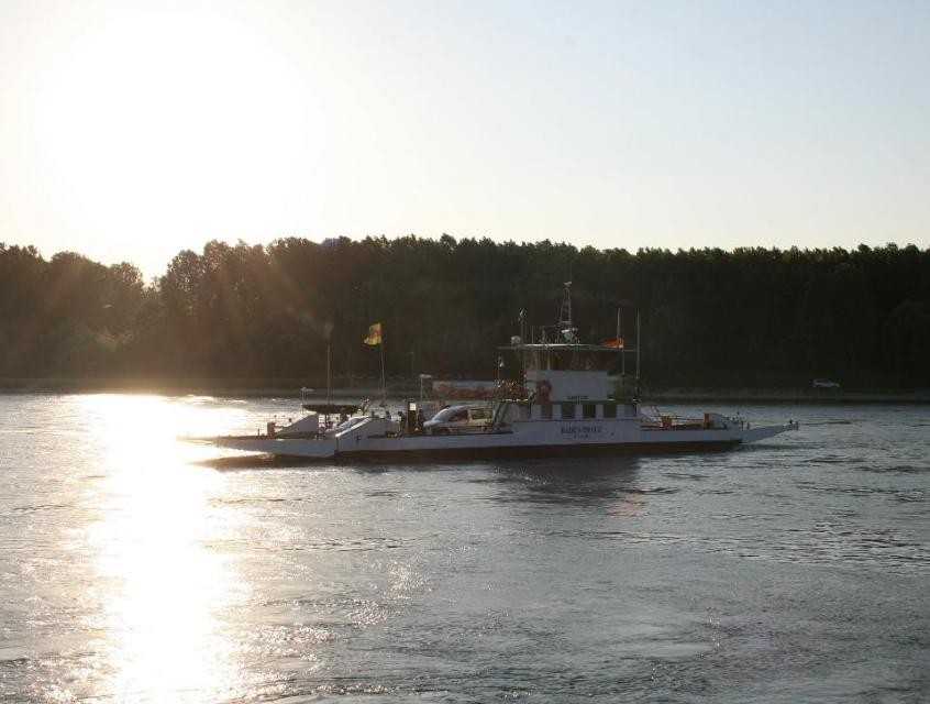 Rheinfähre Rheinfähre