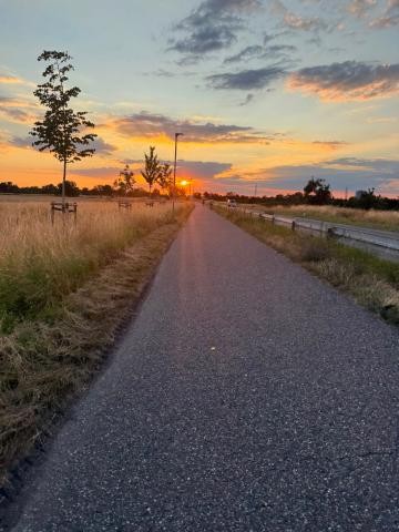 Abendstimmung: Fahrradweg führt auf die leuchtende, untergehende Sonnezu