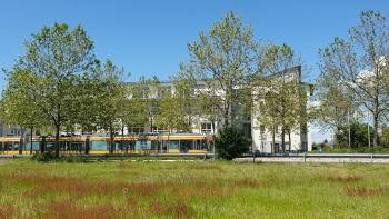Im Vordergrund ist eine grüne Wiese, im Hintergrund das Rathaus Mitte, dazwischen fährt eine Straßenbahn.