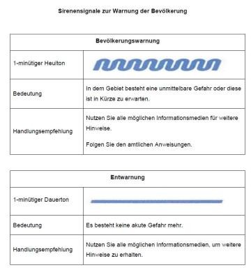 Darstellung der Töne als Wellenbewegungen sowie die schriftlichen Erläuterungen dazu