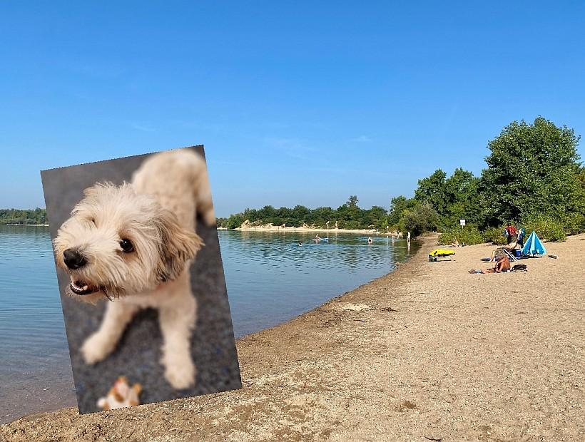 Epplesee Hundestrand