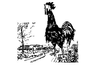 Logo Kleintierzuchtverein C 51 Forchheim e.V.