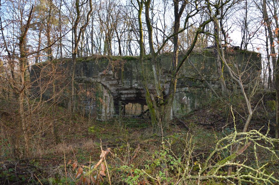 Bunkerruine im Hardtwald
